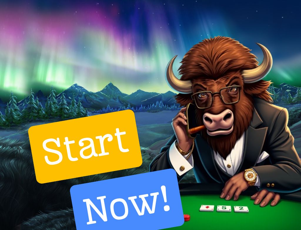 bison casino aplikacja